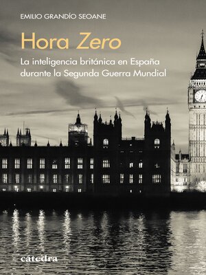 cover image of Hora Zero